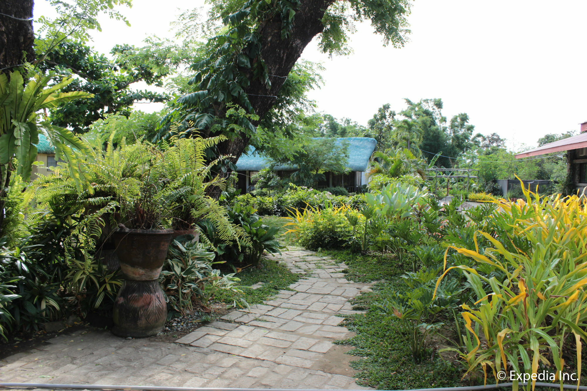 Reddoorz Plus Near Vigan Convention Center Экстерьер фото